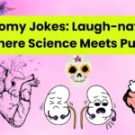 anatomy-jokes-laugh-natomy-where-science-meets-puns